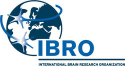 http://ibro.info/